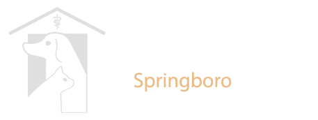 Animal Medical Center of Springboro